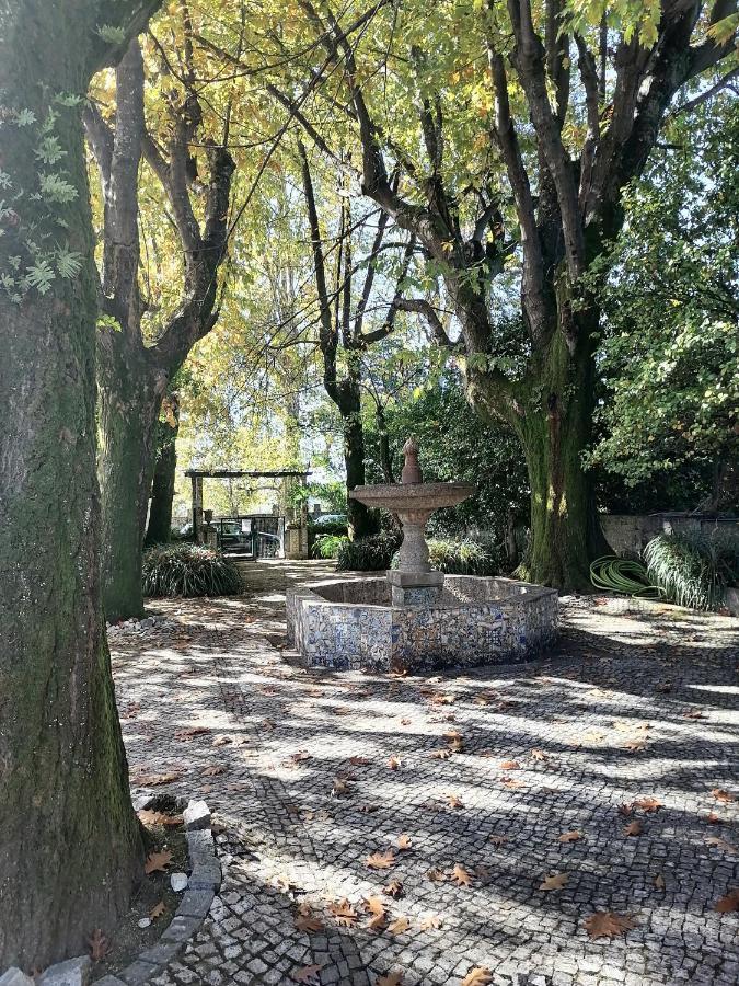 Camelia Rooms Guimarães Exterior photo